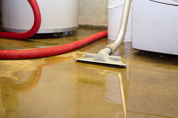 Best Local water damage restoration  in , MD