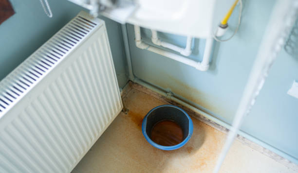Best Basement water damage restoration  in , MD