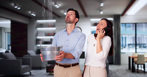 Best Flood damage cleanup  in , MD