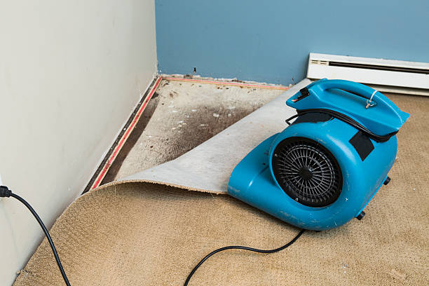 Best Water damage restoration near me  in , MD